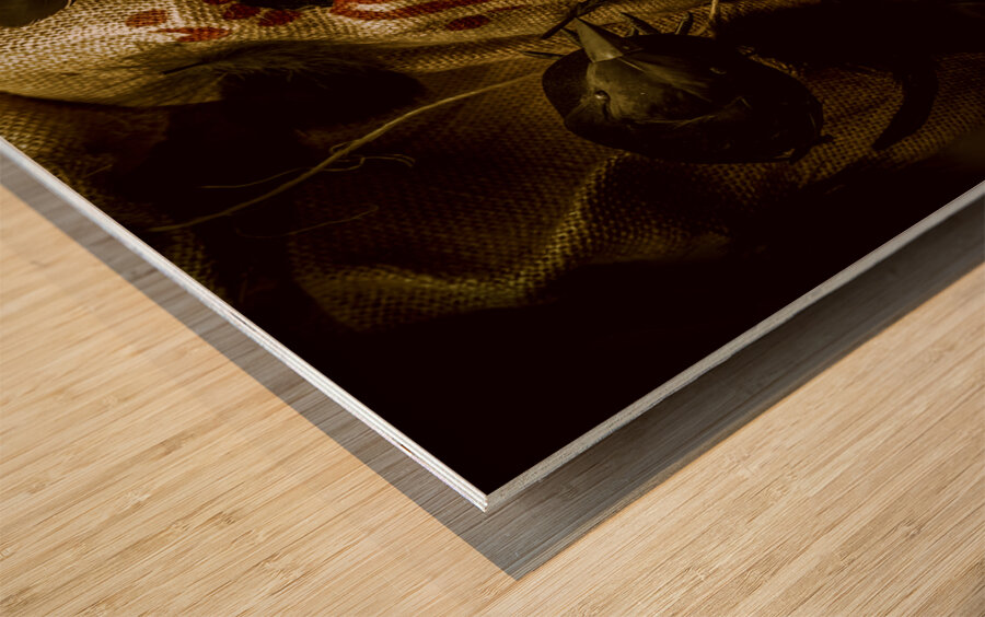 Burlap and feather Wood print