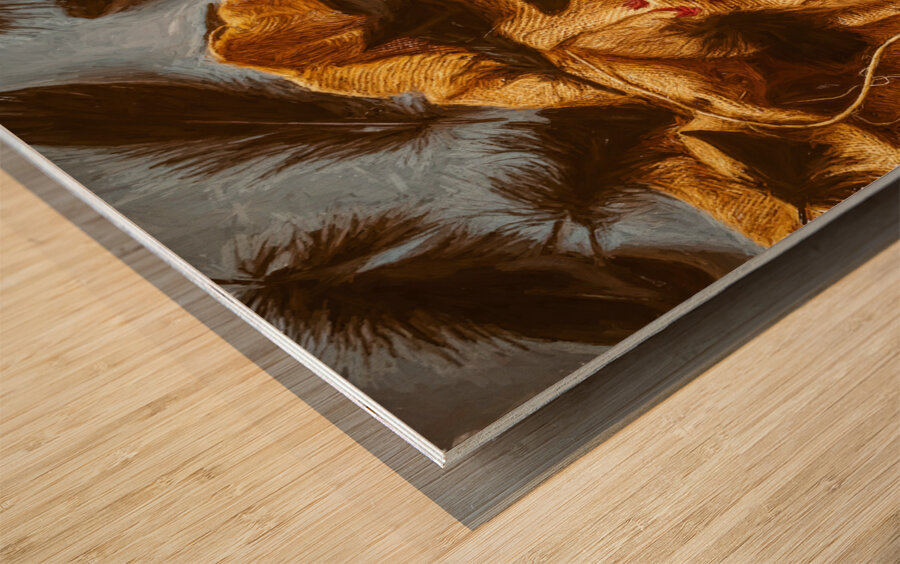 A crow too far Wood print