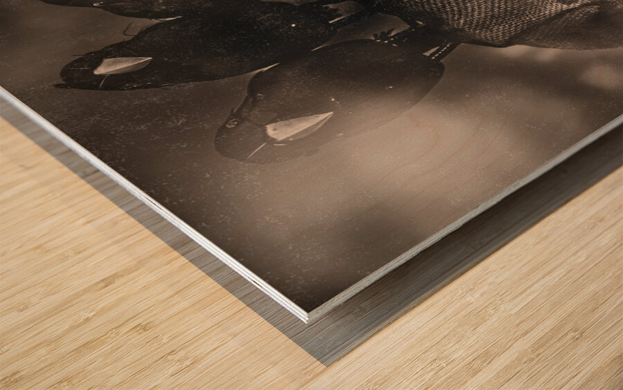 Crowtrolled opposition Wood print