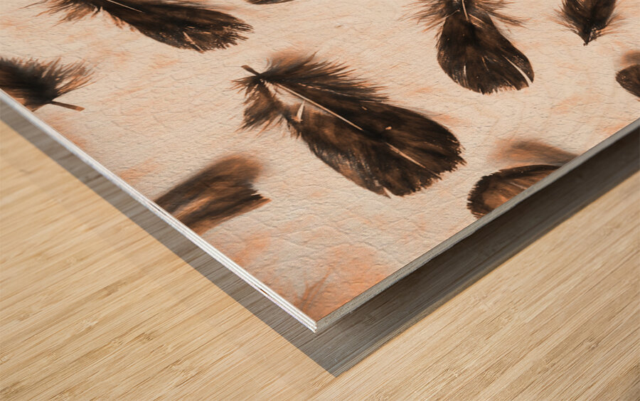 A feathery foray Wood print