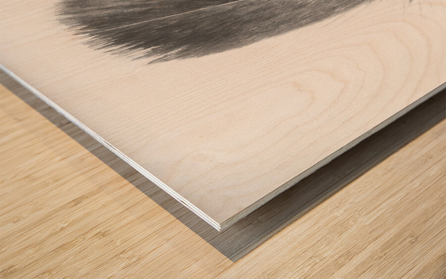 Pencil plume Wood print