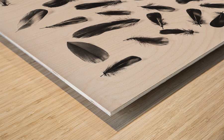 Light and dark Wood print