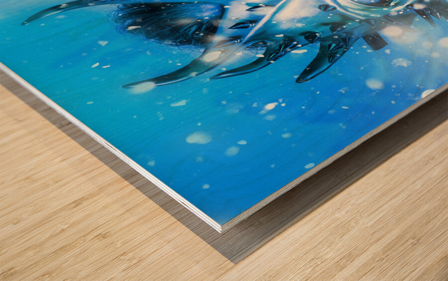 Frost bite Wood print