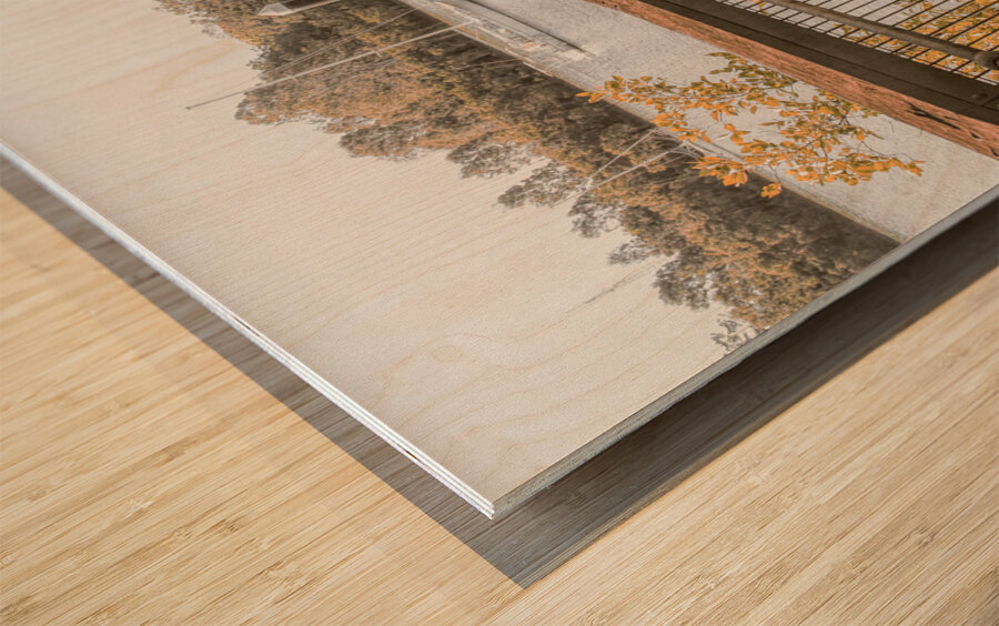 Bundaberg river walk Wood print