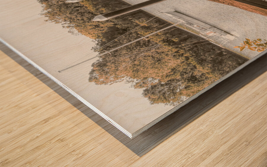 Boardwalk way Wood print