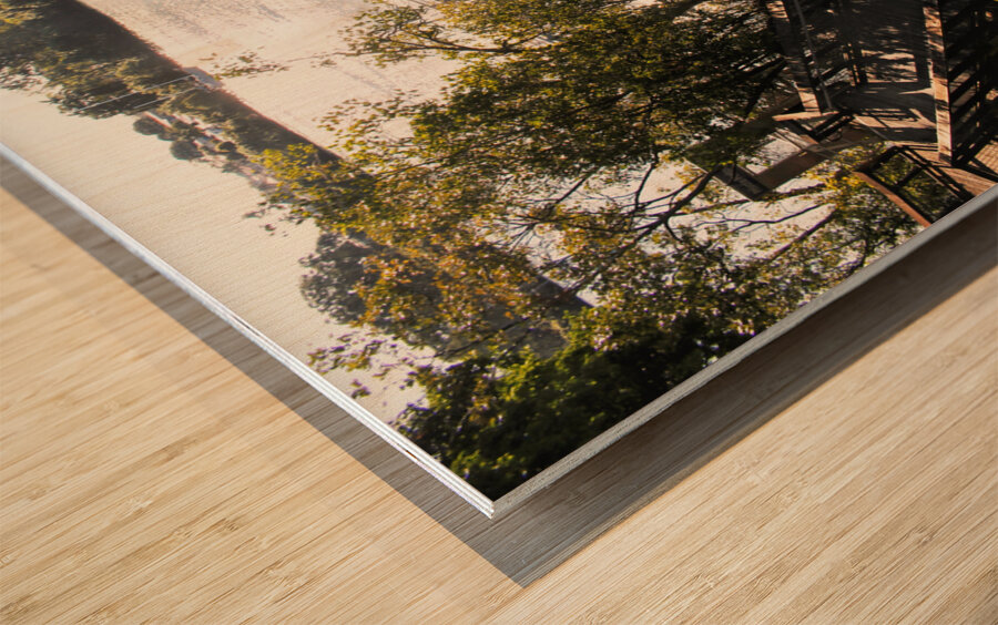 Burnett River Walk Wood print