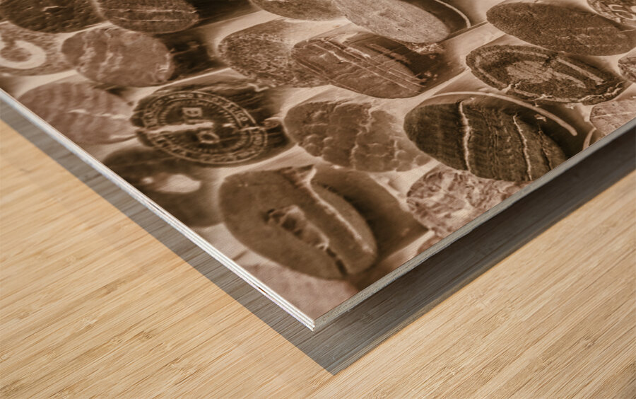 Corksortium Wood print