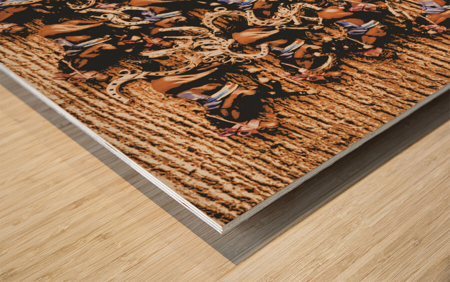 Horse gala Wood print