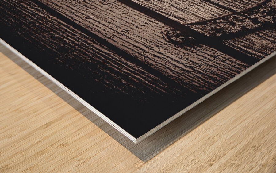 Horseshoe planks Wood print
