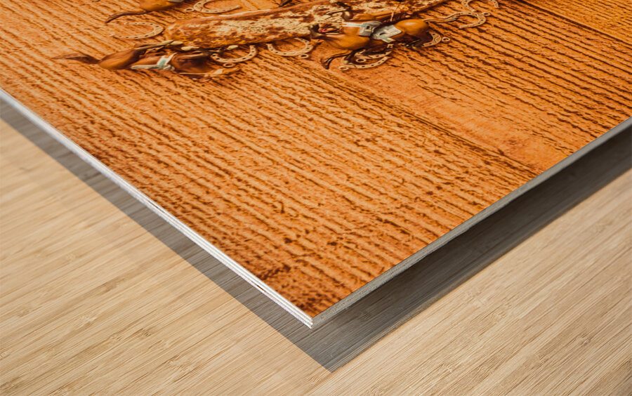 Around horseshoe track Wood print