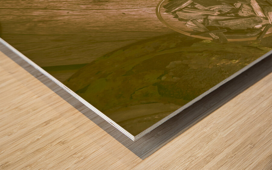 Chips off the old barrel Wood print