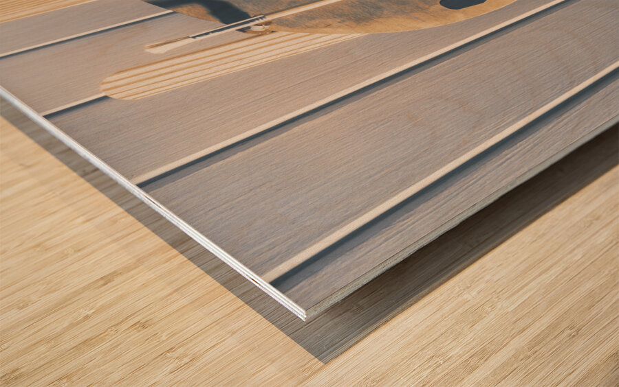 Paints and puppets Wood print