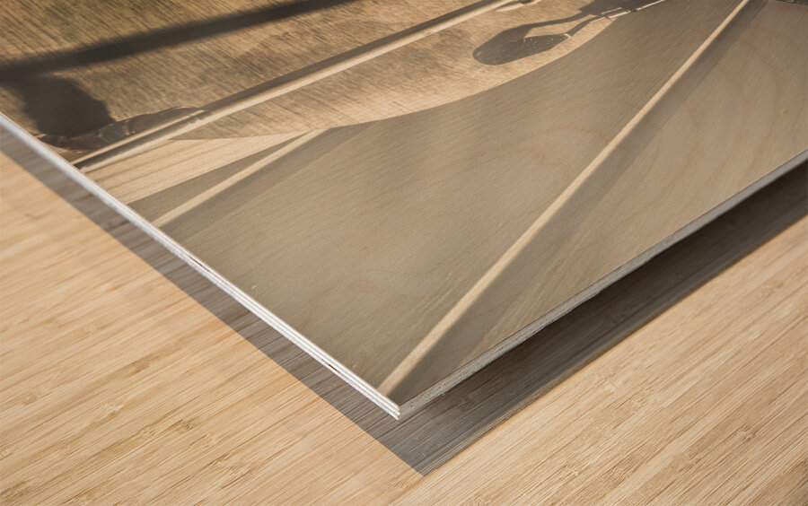 The cleanup crew Wood print