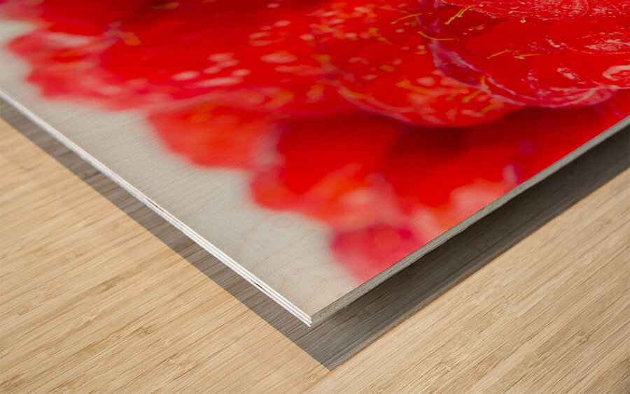 Berry moderns Wood print