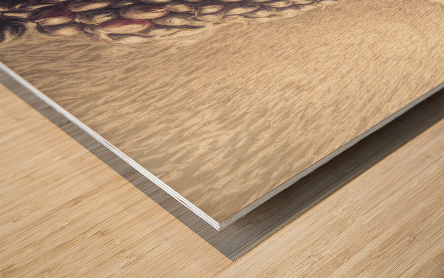 Sunlit berries Wood print