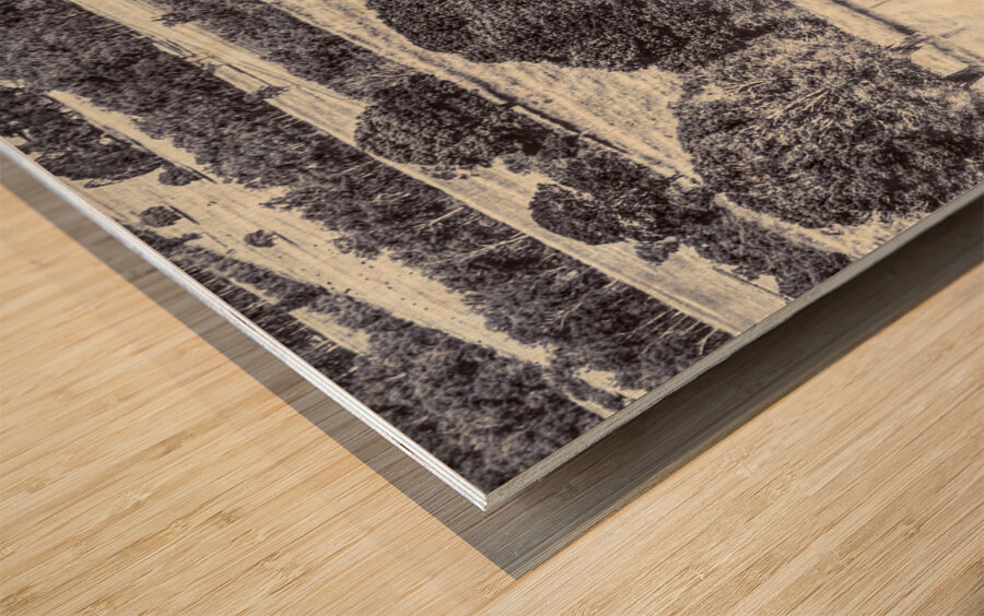 Grasslands Wood print