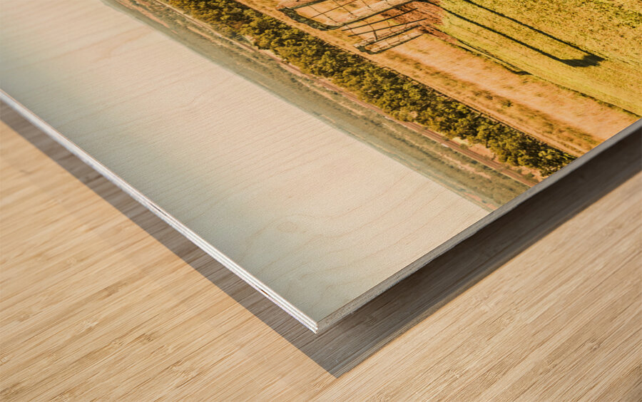 Farmland view Wood print