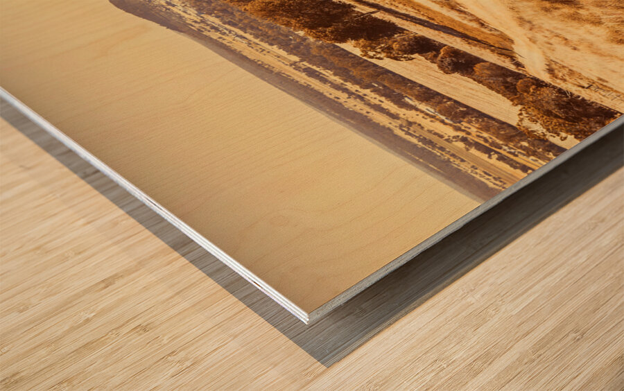 Country glamour Wood print