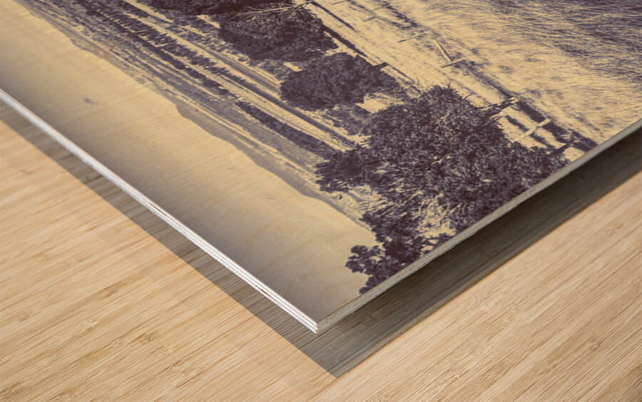Sloping serenity Wood print