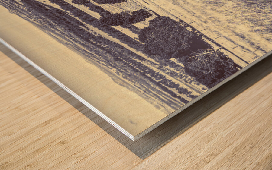 Kingaroy country Wood print