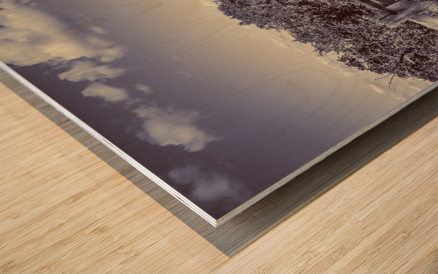 Rustic farm gate Wood print