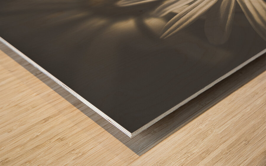 May Daisy Wood print