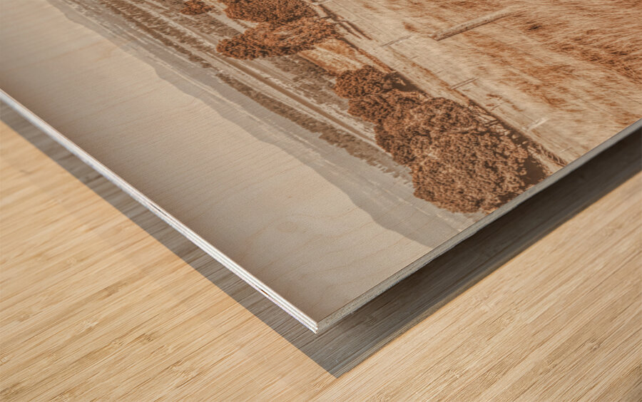 Expansive hills and rustic fencing Wood print