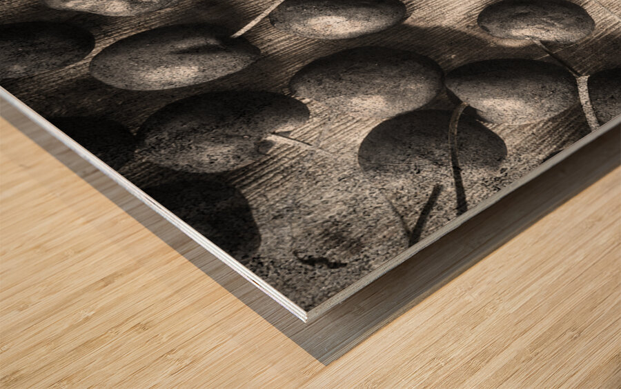 Cherry picked Wood print