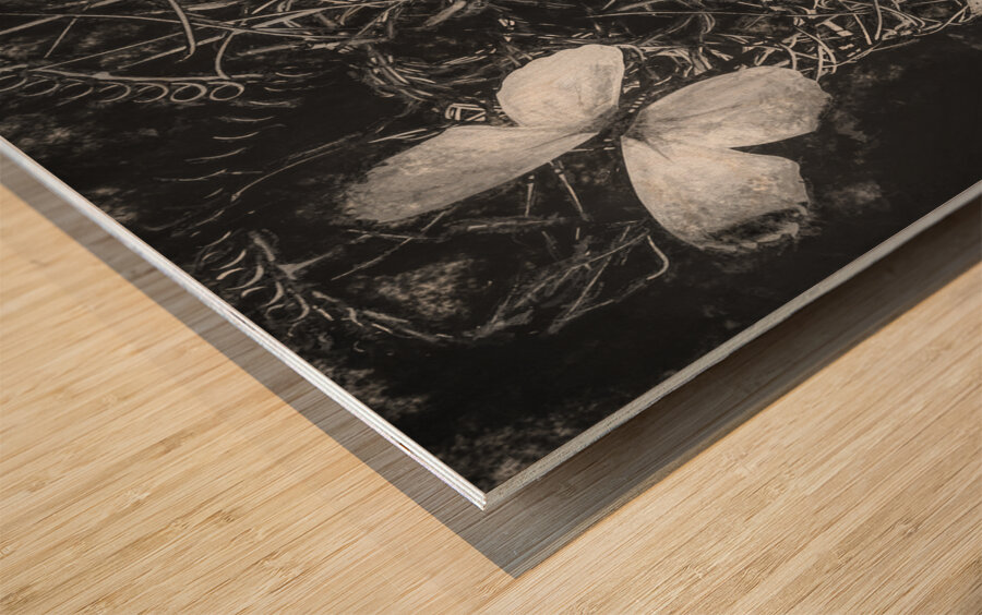 Desimilation  Wood print