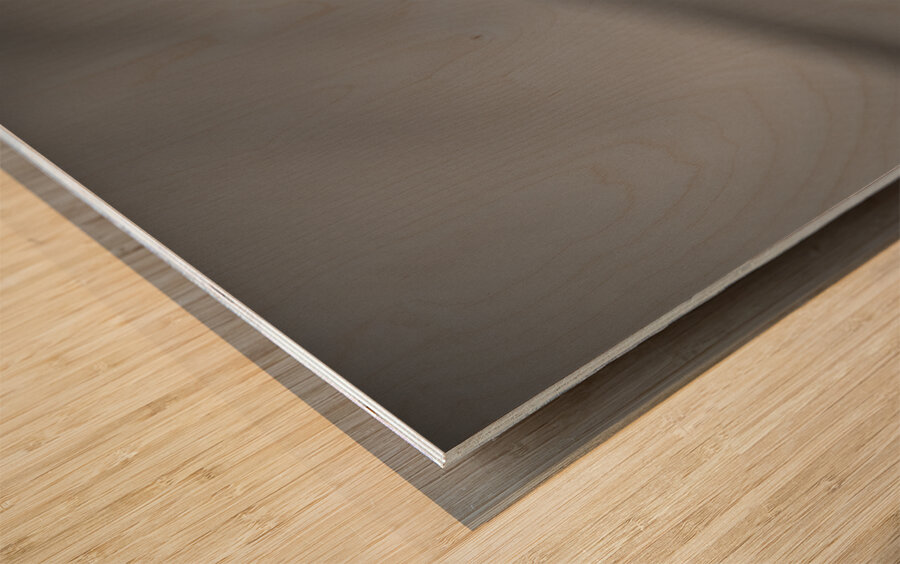 Obscured by floating feathers Wood print