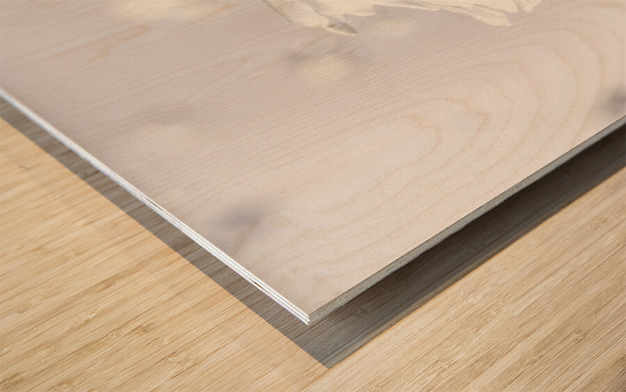 Serenity and grace Wood print