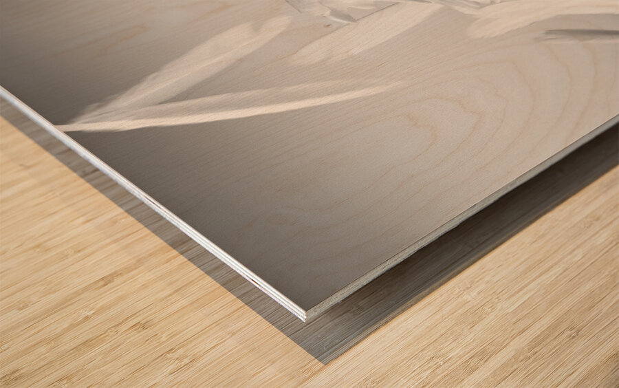 On a porcelain pedestal Wood print