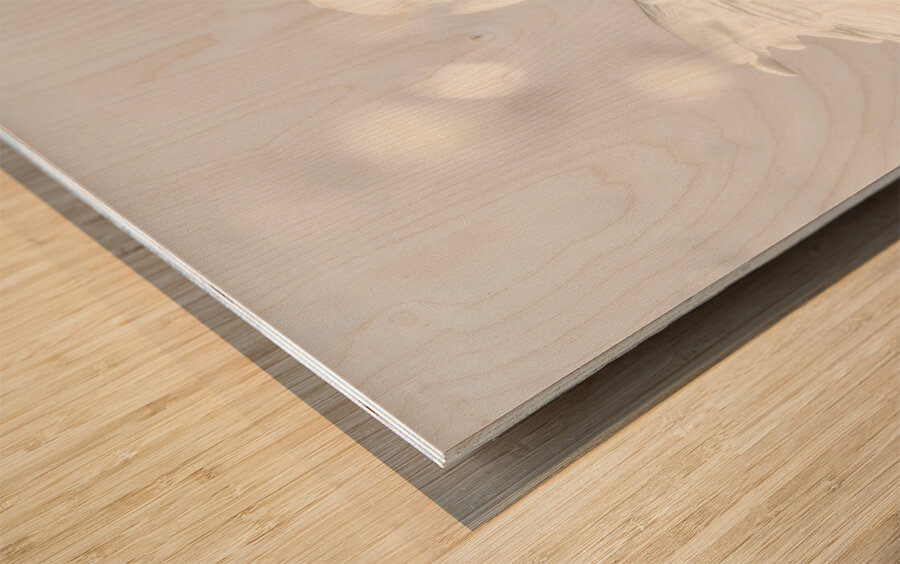 White swan Wood print