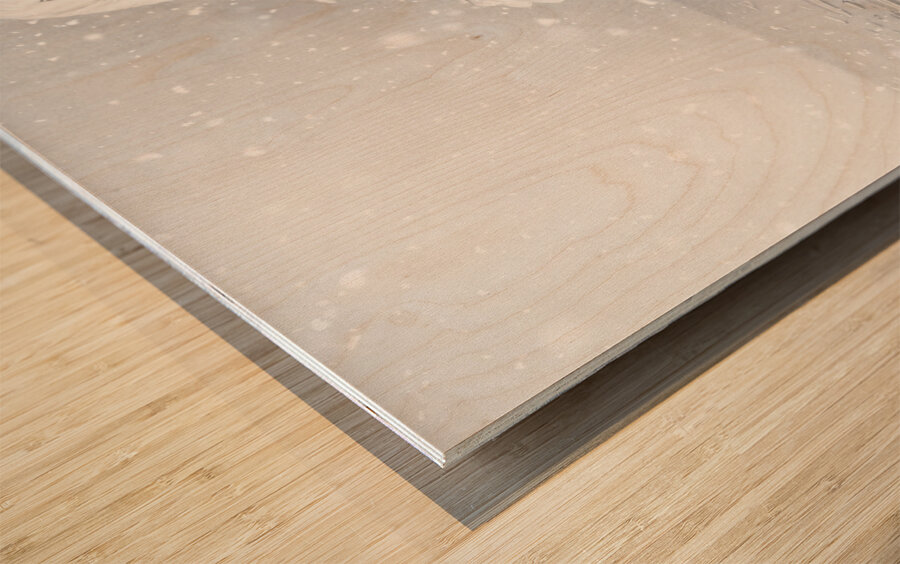 Porcelain winters Wood print