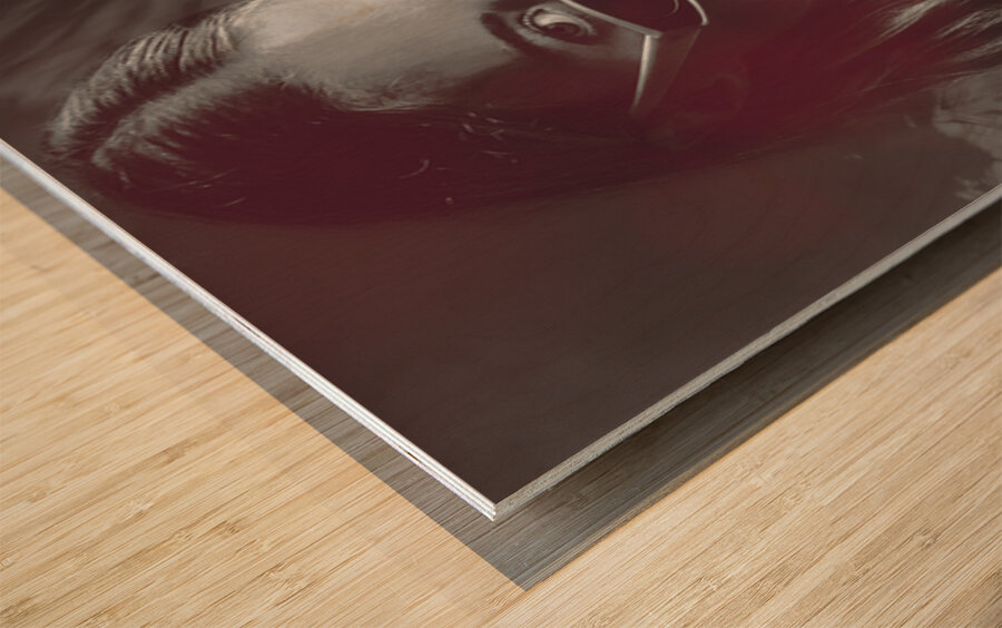 Hot Tropics Wood print