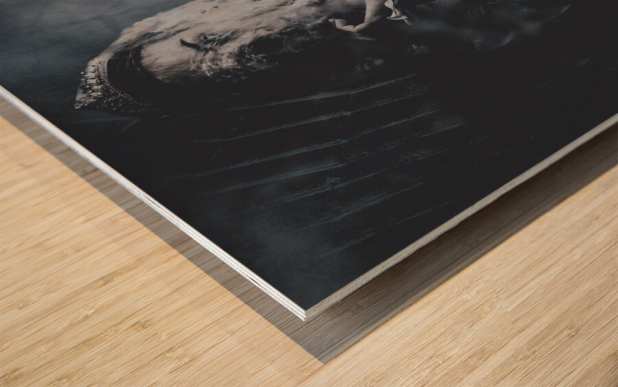 Coronation Of Webs Wood print