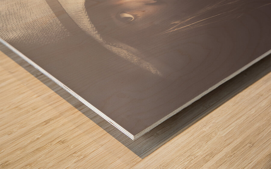 Mode Lighting Wood print