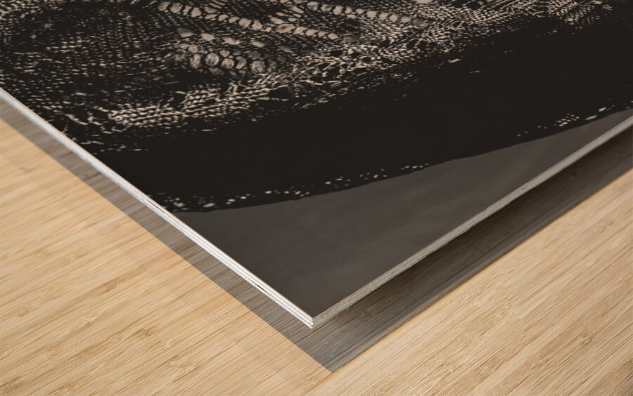 Obscured In Clarity Wood print