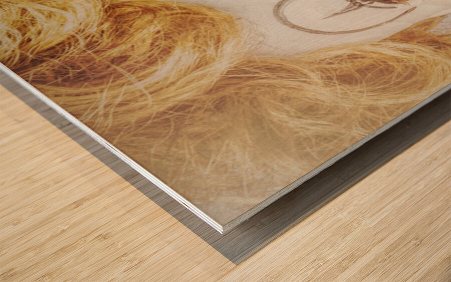 Clown Face Wood print