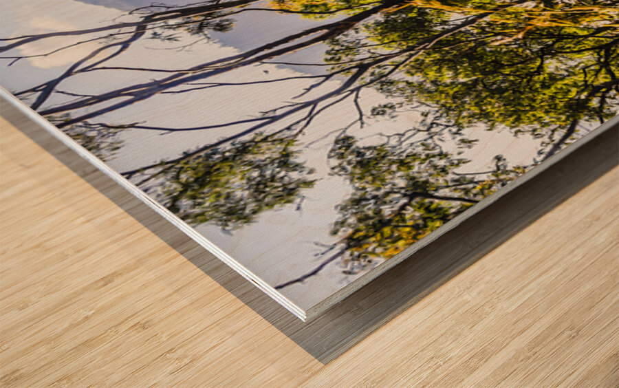 Mount Perry Wood print