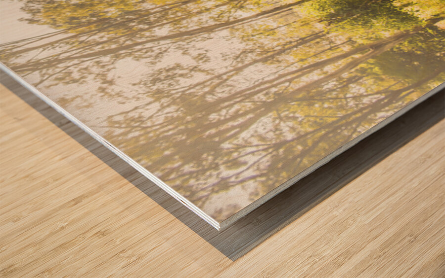 Nature Lovers Lane Wood print