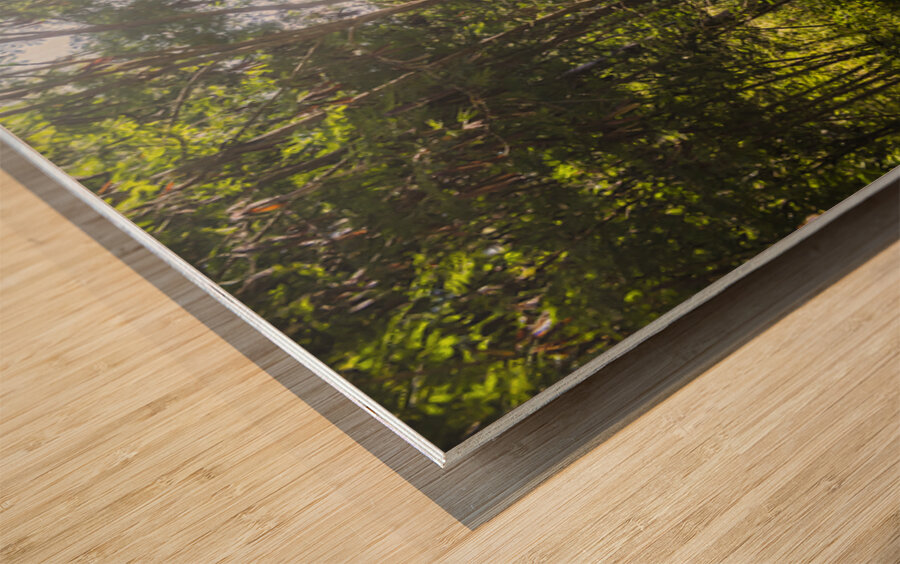 Green Wilds Wood print