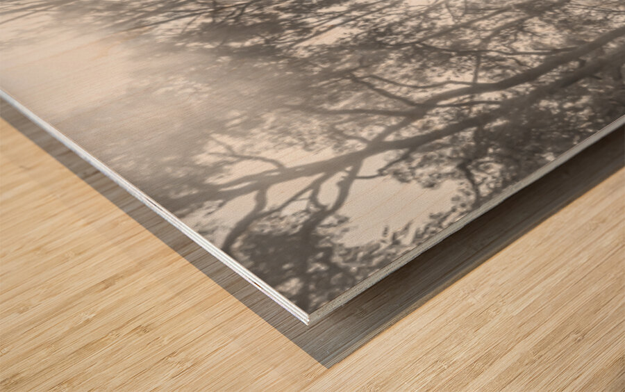 Grey Vertices  Wood print