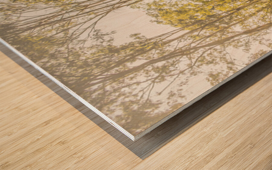 Wilderness Way Wood print