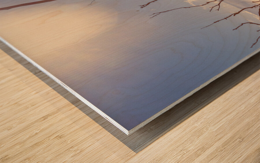 Gently Abounding Wood print