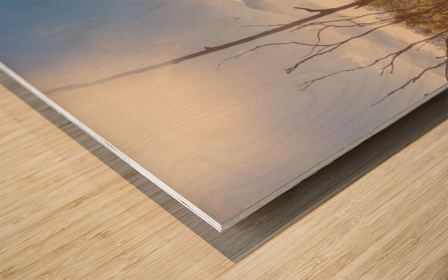 Misty Horizons Wood print