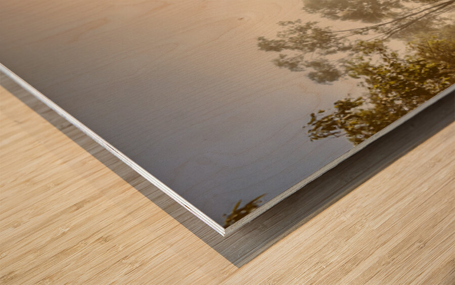 Upcountry Ruggeds  Wood print