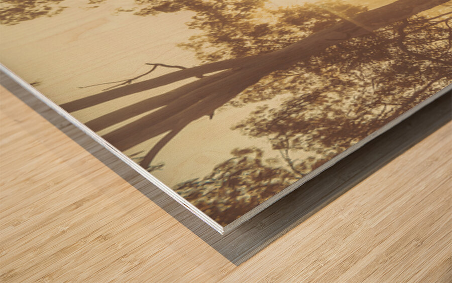 Dirt Road Dawn Wood print