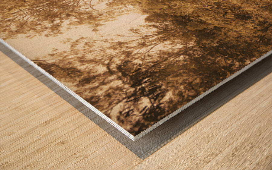 Autumn Wander Wood print