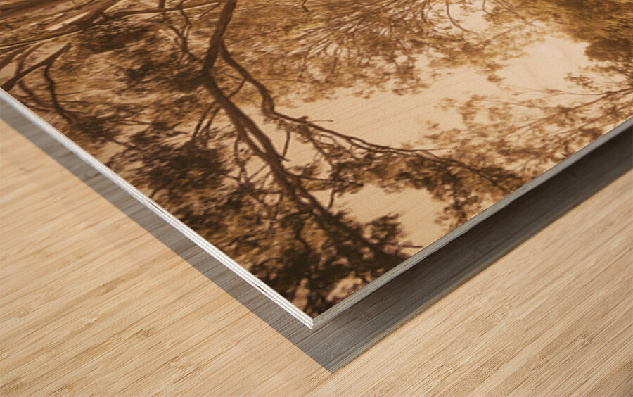 Through Fall Wood print